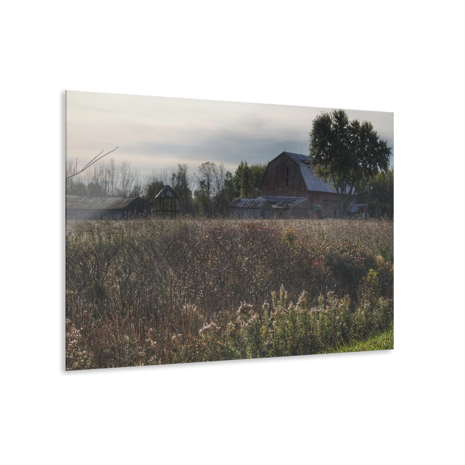 Brown City Road Red Rustic Farmhouse Acrylic Wall Print