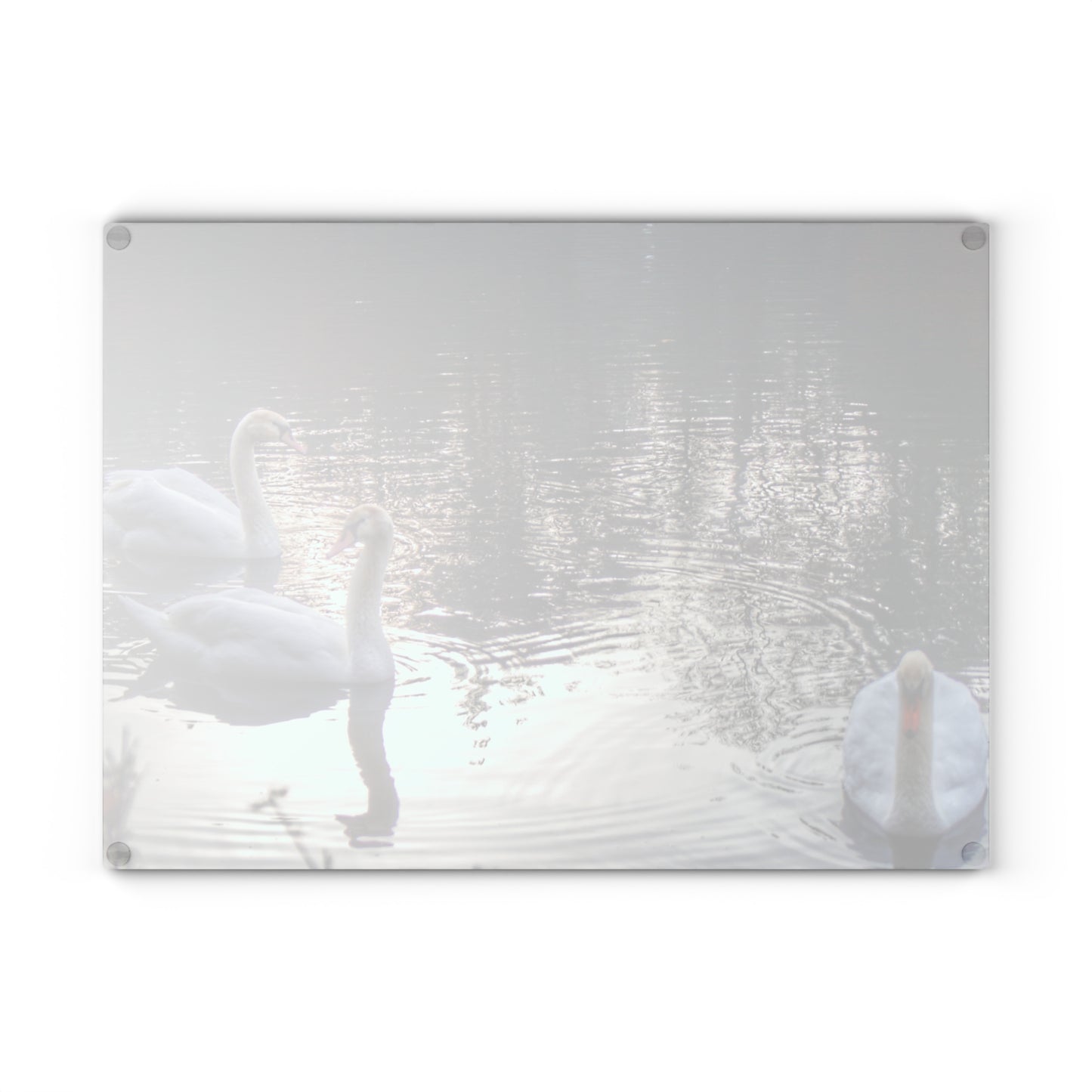 U R There Photography Swans of Duck Lake II Rustic Farmhouse Tempered-Glass Cutting Board