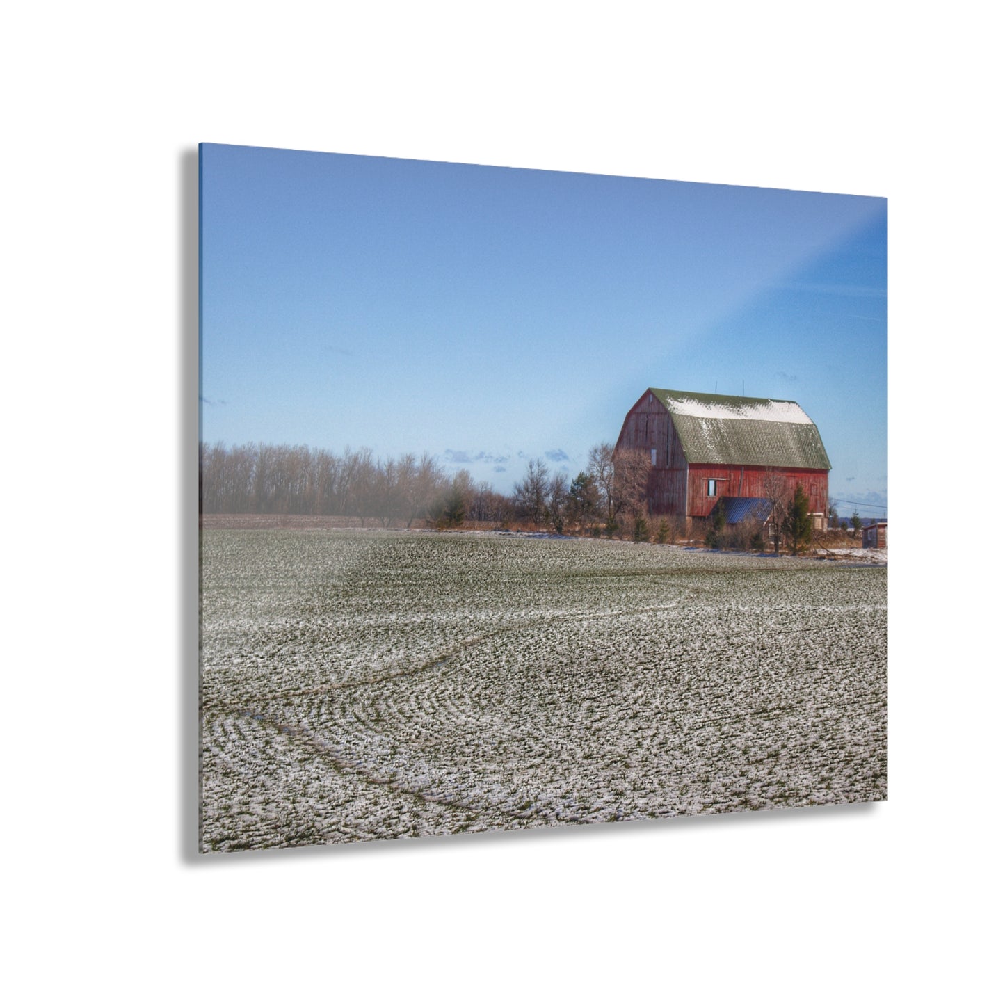 U R There Photography Early Spring Red I Rustic Farmhouse Acrylic Wall Print