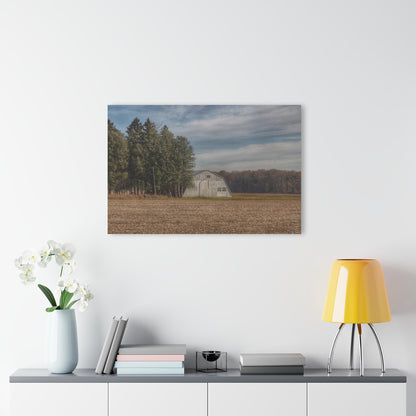 U R There Photography Grey Quonset Among the Pines Rustic Farmhouse Acrylic Wall Print