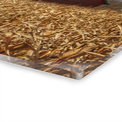 U R There Photography North Force Road Hidden Red Rustic Farmhouse Acrylic Wall Print