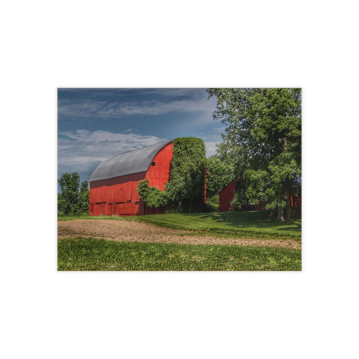 U R There Photography Catlin Road Red I Rustic Farmhouse Decorative Ceramic Tile