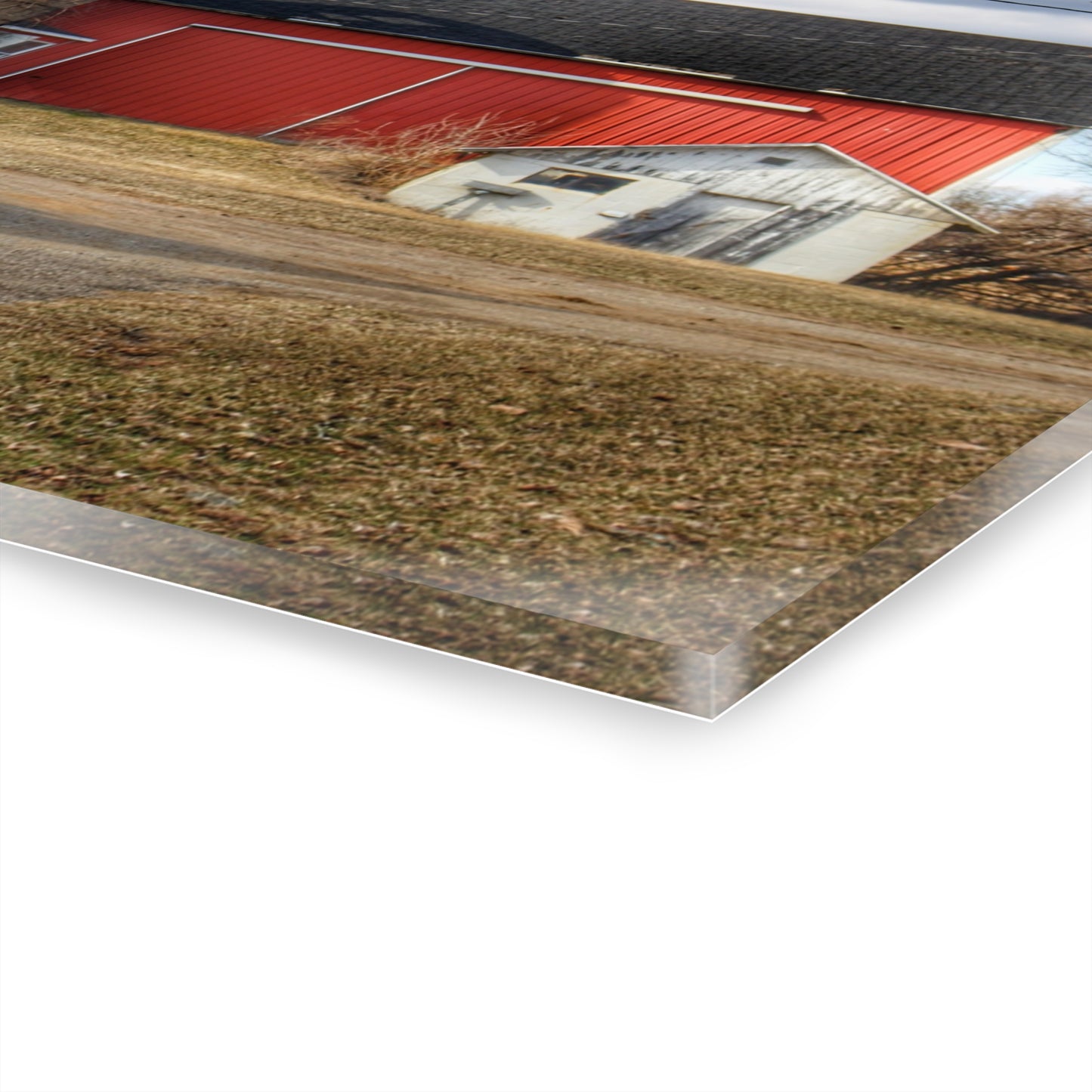 U R There Photography Mayville Road Red and Silo Rustic Farmhouse Acrylic Wall Print