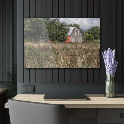 U R There Photography East Frances Road Hidden Grey I Rustic Farmhouse Acrylic Wall Print