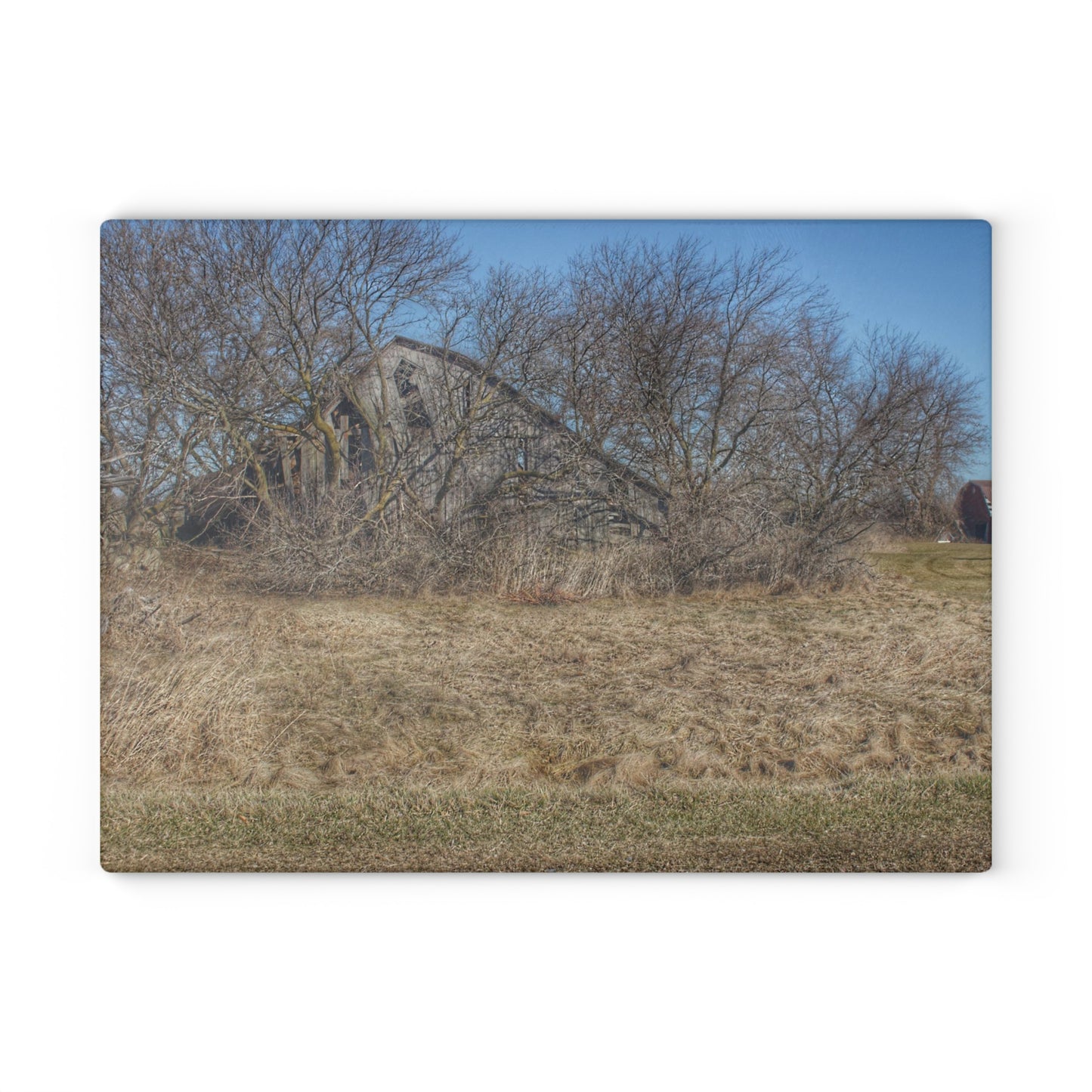 U R There Photography Fargo Road Forgotten Rustic Farmhouse Tempered-Glass Cutting Board