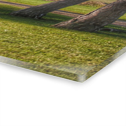 U R There Photography Newark Road Tilted Grey II Rustic Farmhouse Acrylic Wall Print