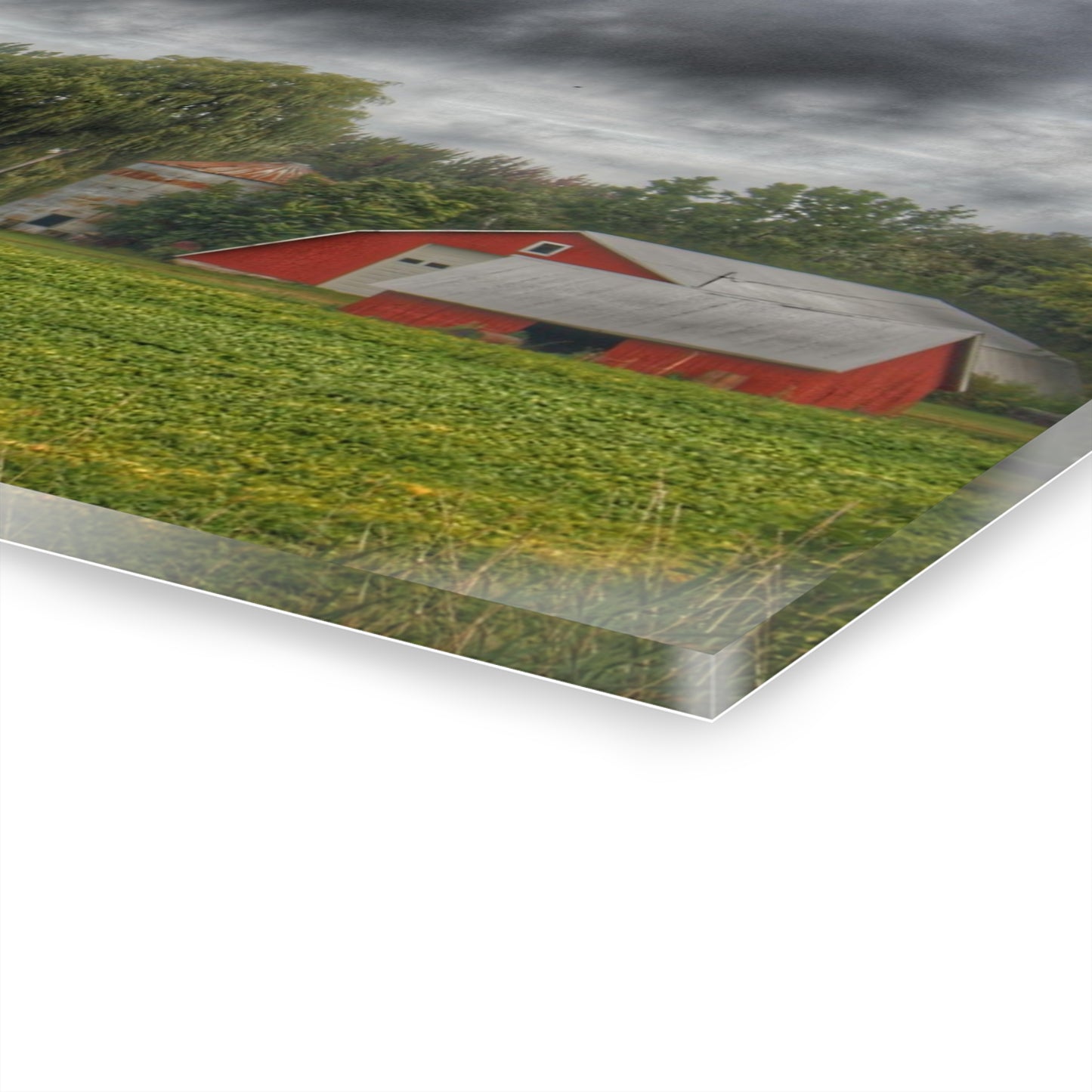 U R There Photography Kingston Road Trio I Rustic Farmhouse Acrylic Wall Print