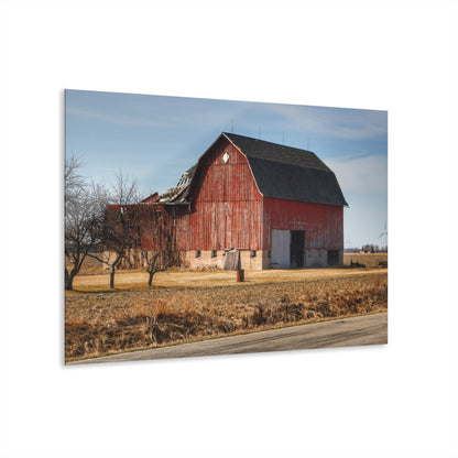 U R There Photography Elmwood Forgotten Apple Red Rustic Farmhouse Acrylic Wall Print