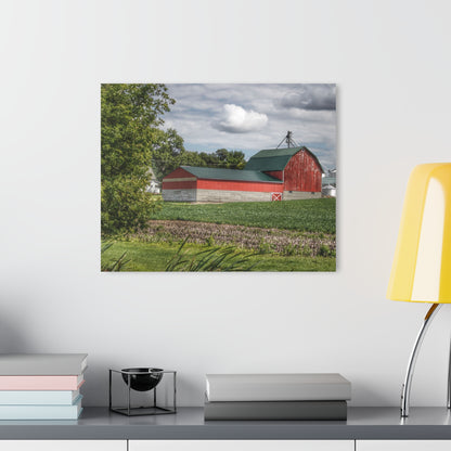 U R There Photography Haines Road Cornfield Reds Rustic Farmhouse Acrylic Wall Print