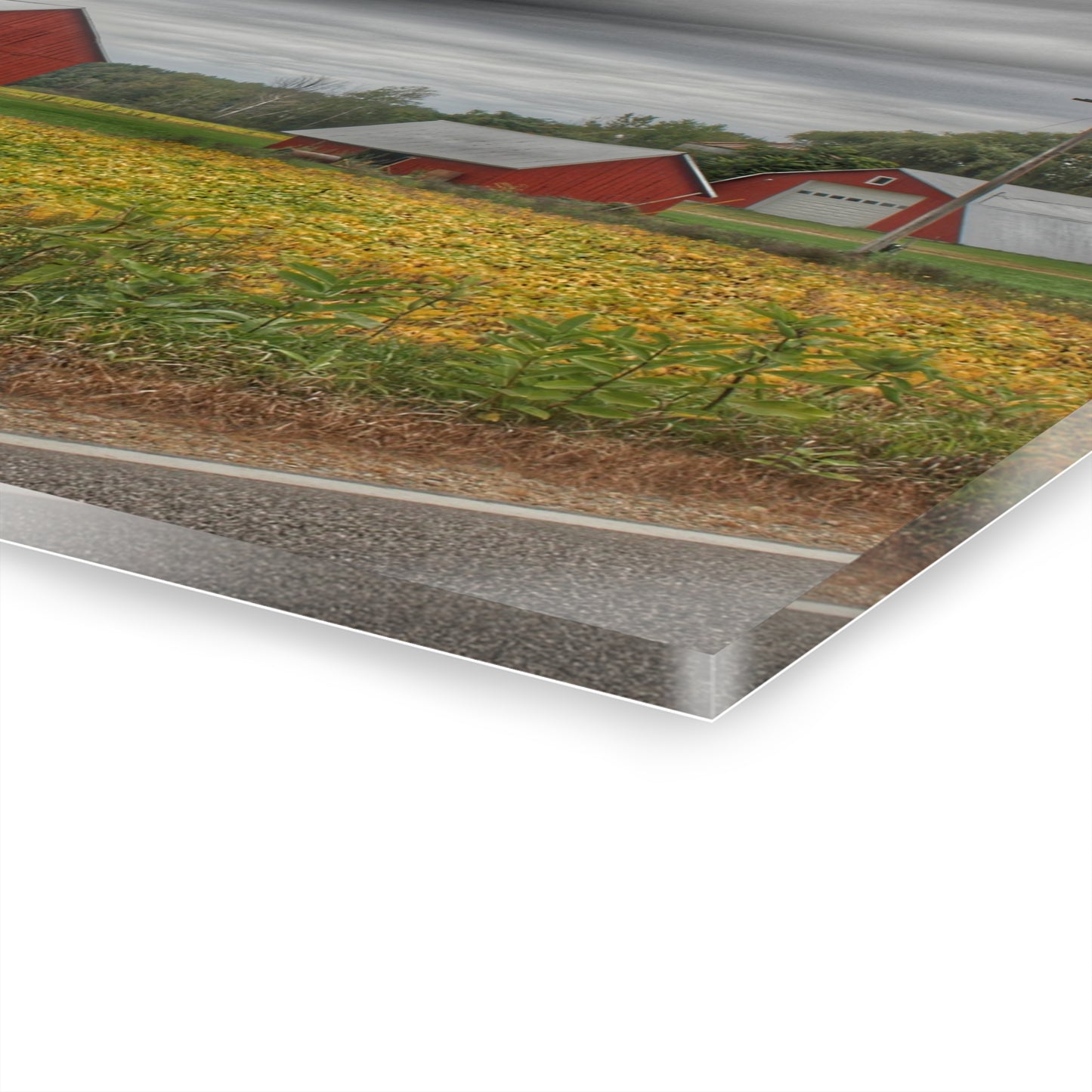 U R There Photography Kingston Road Trio III Rustic Farmhouse Acrylic Wall Print