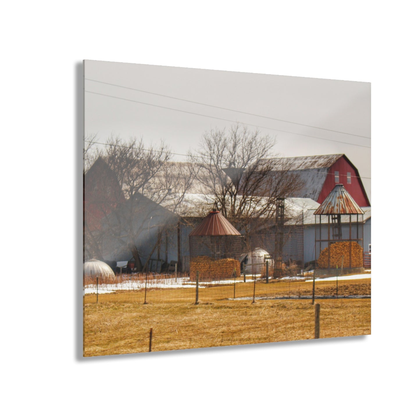 U R There Photography Hidden Red Rustic Farmhouse Acrylic Wall Print