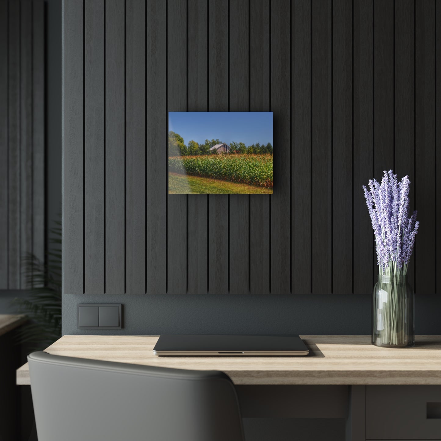 U R There Photography Beyond the Corn on Birch Road Run Rustic Farmhouse Acrylic Wall Print 14 "x 11