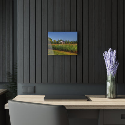 U R There Photography Beyond the Corn on Birch Road Run Rustic Farmhouse Acrylic Wall Print 14 "x 11