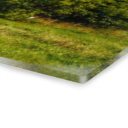 U R There Photography Hidden Red Beyond the Fence Rustic Farmhouse Acrylic Wall Print