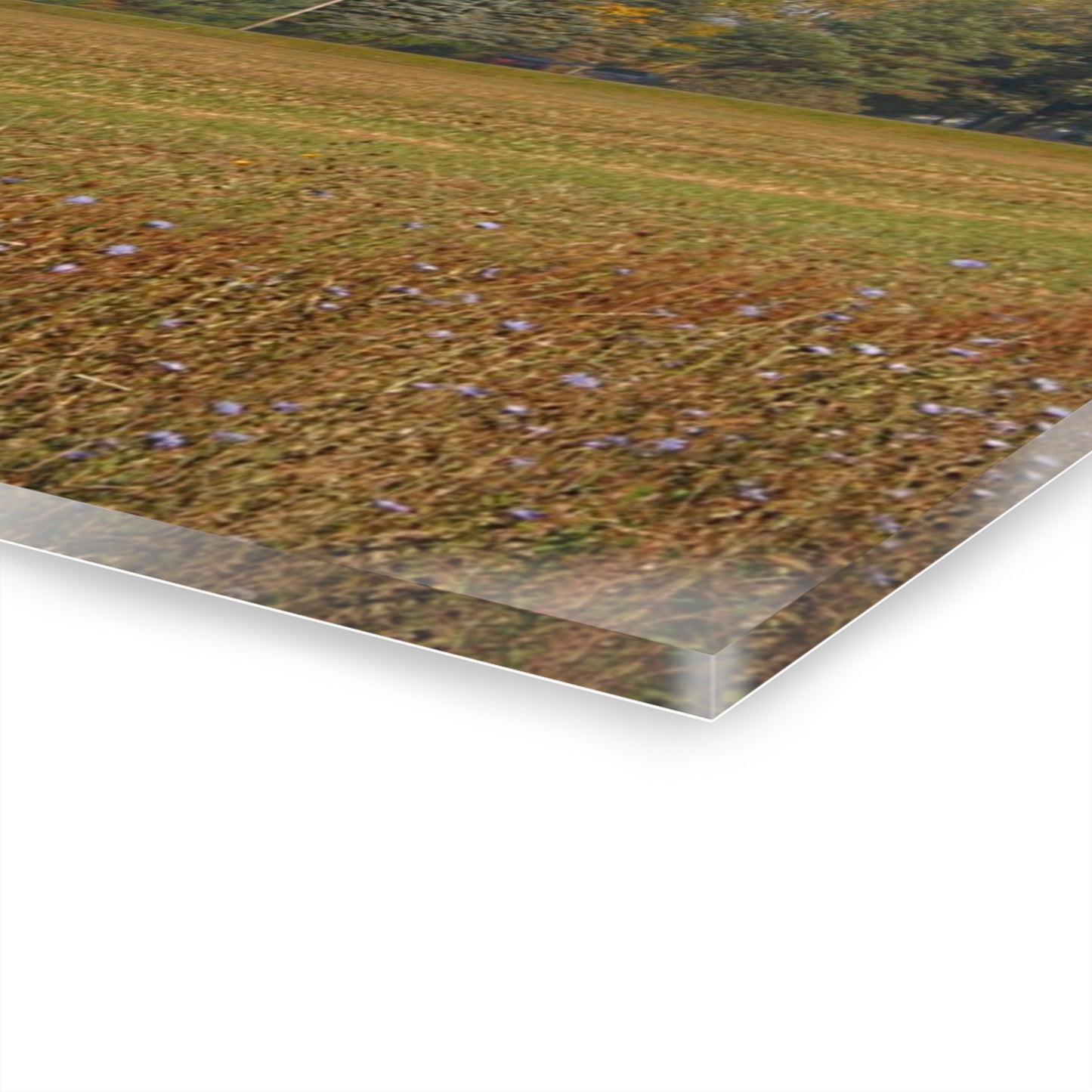 U R There Photography Fargo Road Little Red Rustic Farmhouse Acrylic Wall Print