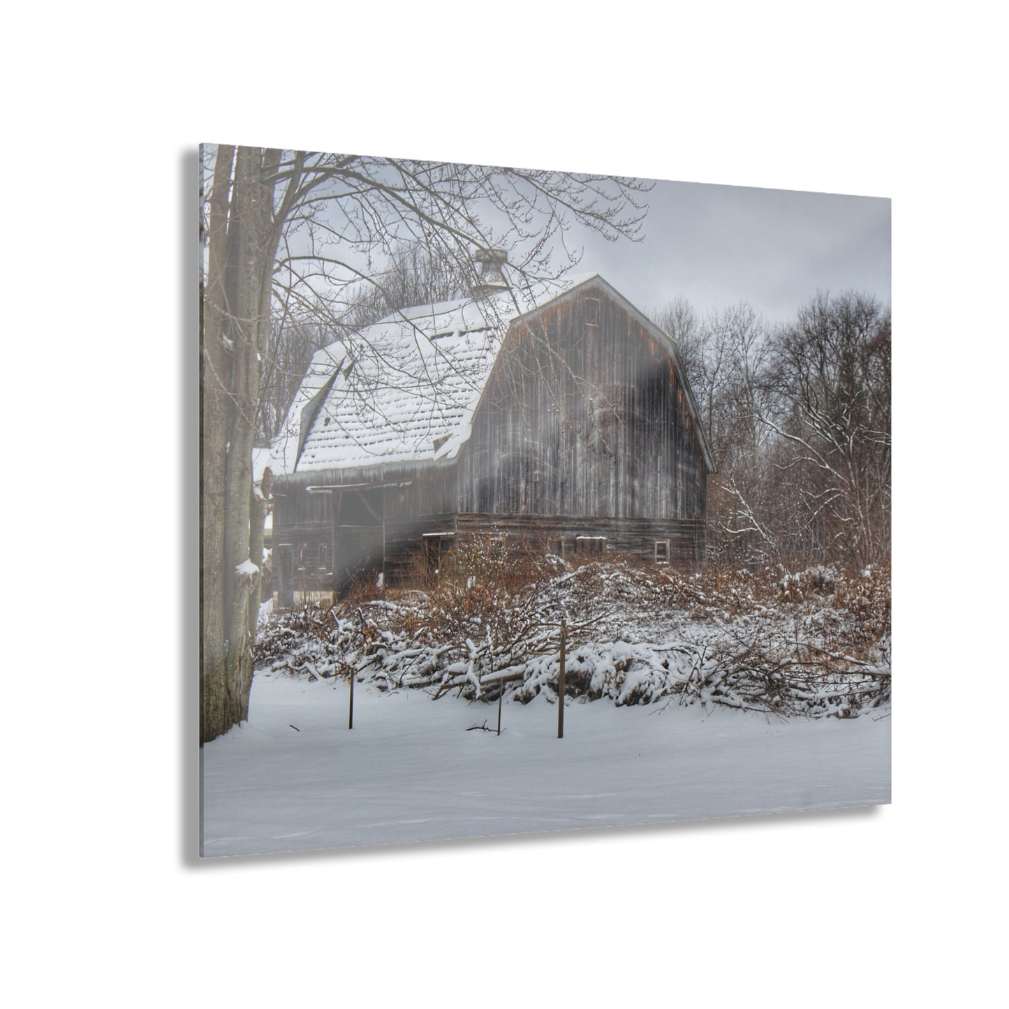 U R There Photography Vassar Road Hidden Grey in Winter Rustic Farmhouse Acrylic Wall Print