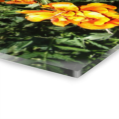 U R There Photography Marigolds Rustic Farmhouse Acrylic Wall Print