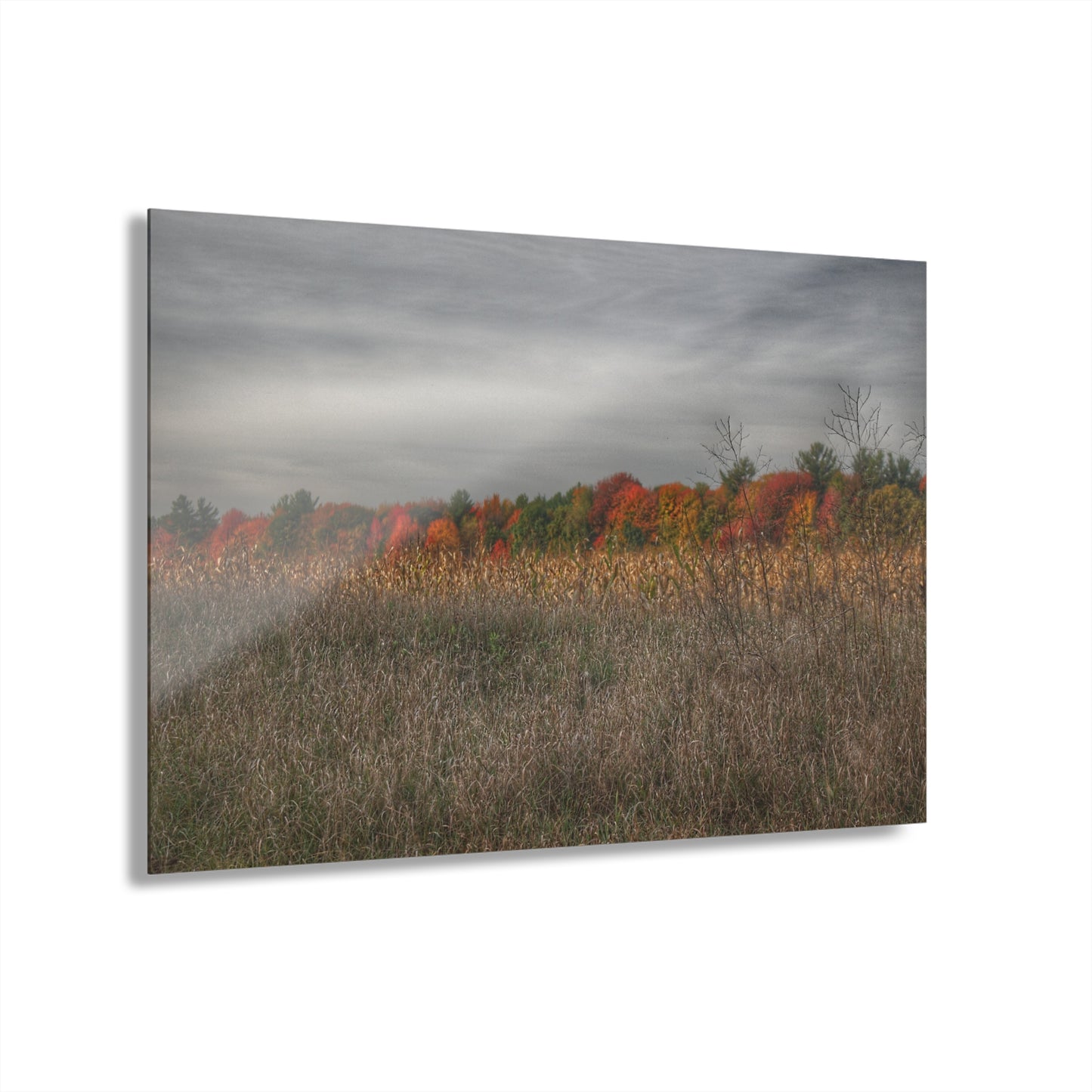 U R There Photography Fall on Murphy Lake V Rustic Farmhouse Acrylic Wall Print
