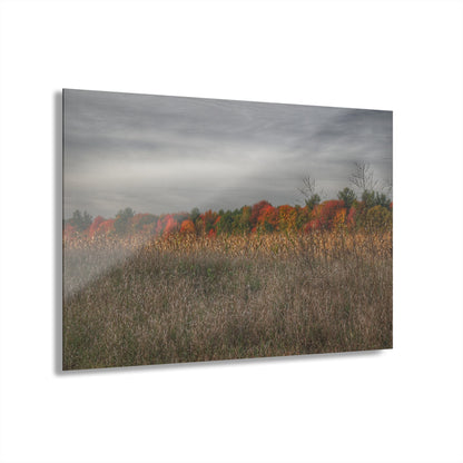 U R There Photography Fall on Murphy Lake V Rustic Farmhouse Acrylic Wall Print