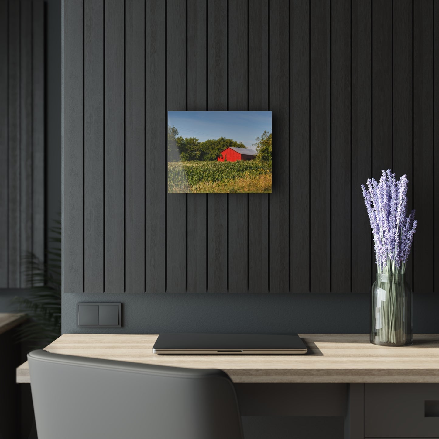 U R There Photography Willard Road Red II Rustic Farmhouse Acrylic Wall Print