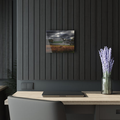 U R There Photography Farnsworth Road White Rustic Farmhouse Acrylic Wall Print