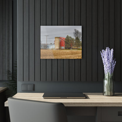 U R There Photography Laur Road Red Among the Pines I Rustic Farmhouse Acrylic Wall Print