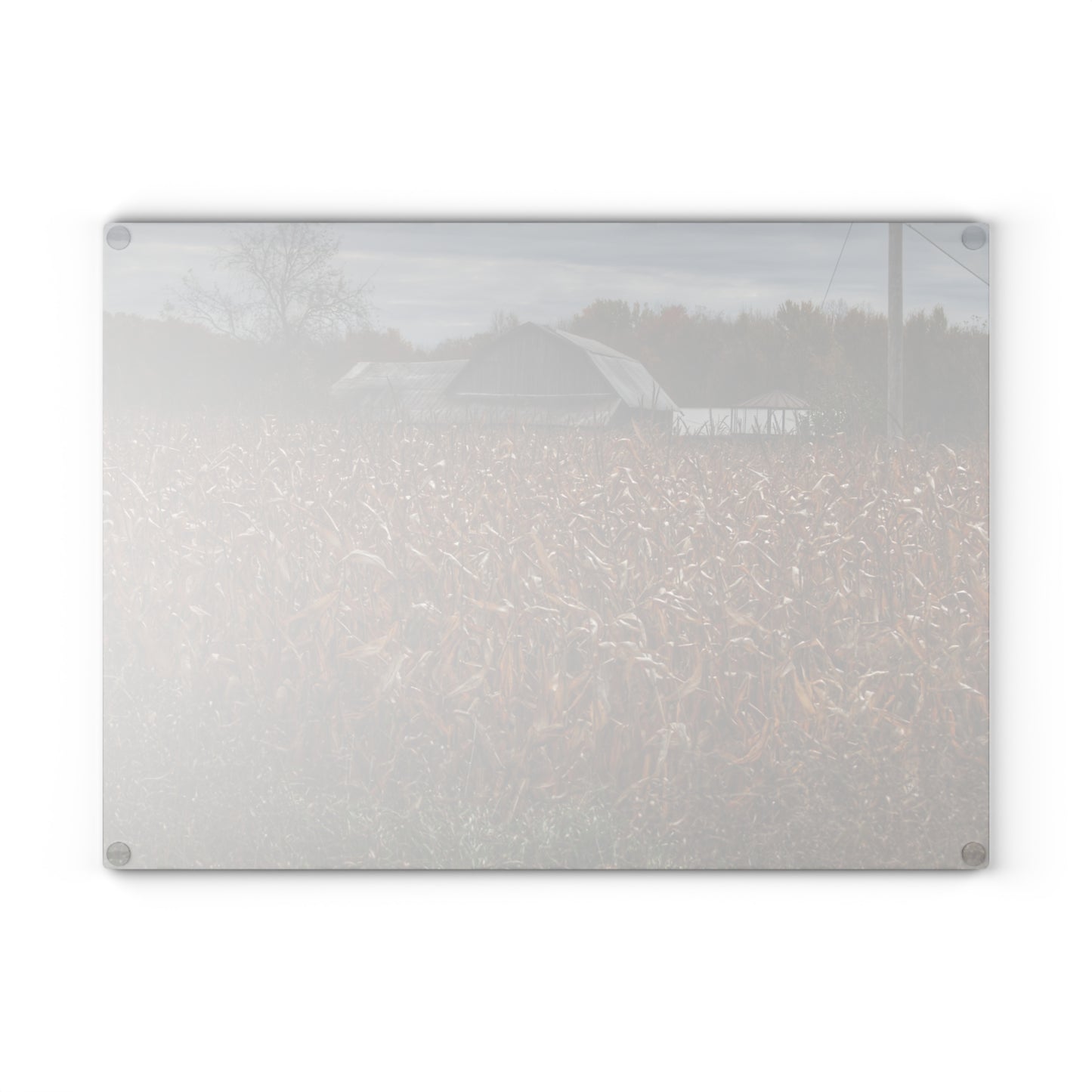 U R There Photography North State Road Grey Rustic Farmhouse Tempered-Glass Cutting Board 8"x 11"