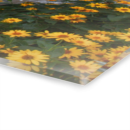 U R There Photography Golden Blooms on McDowell Rustic Farmhouse Acrylic Wall Print