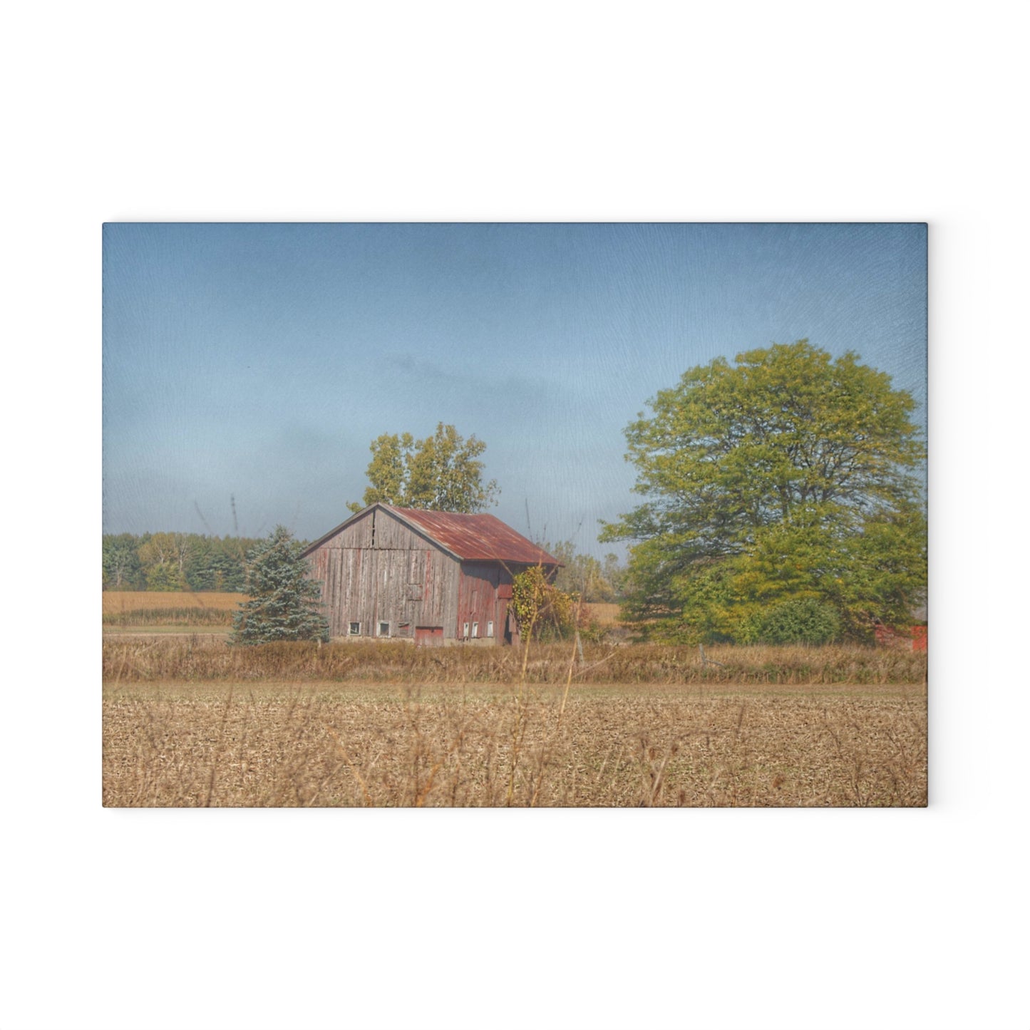 U R There Photography Brown City Wellman Line Road Little Red Rustic Farmhouse Tempered-Glass Cutting Board