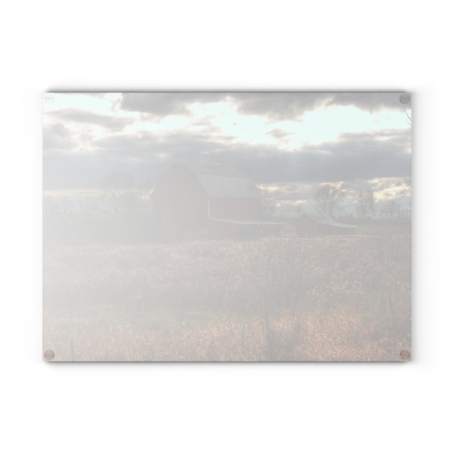 U R There Photography Booth Road Cow Barn II Rustic Farmhouse Tempered-Glass Cutting Board