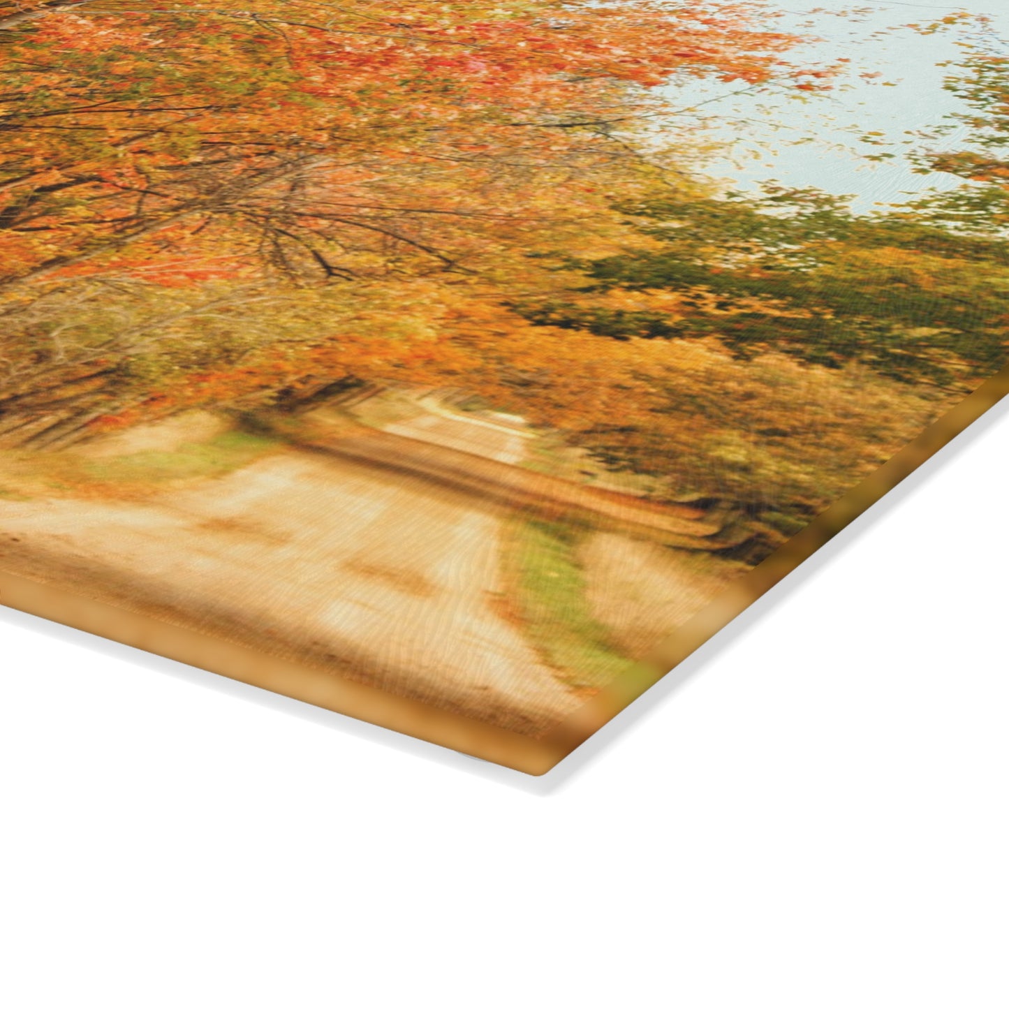 U R There Photography Fall on Murphy Lake II Rustic Farmhouse Tempered-Glass Cutting Board