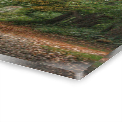 U R There Photography Country Roads in Millington Rustic Farmhouse Acrylic Wall Print