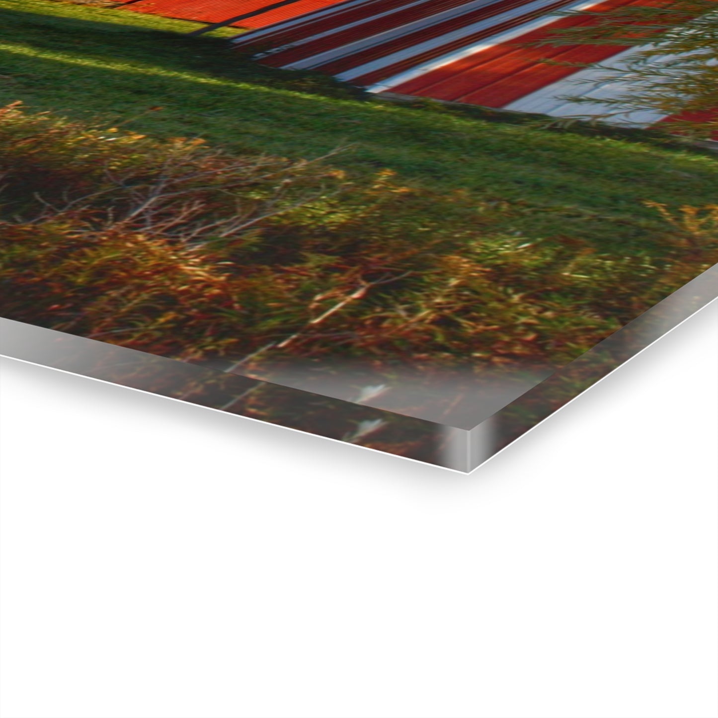 U R There Photography Maynard Road Reds Rustic Farmhouse Acrylic Wall Print