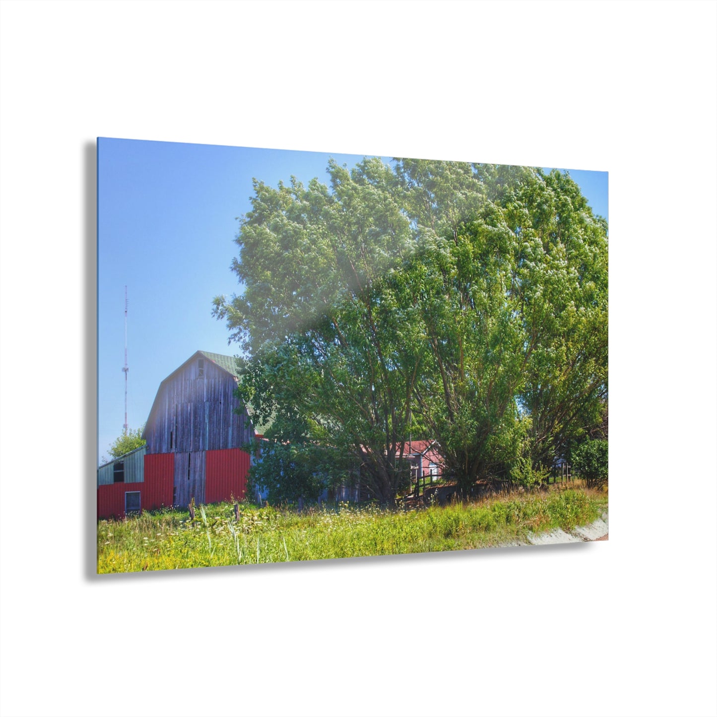 U R There Photography East Farrand Grey Rustic Farmhouse Acrylic Wall Print