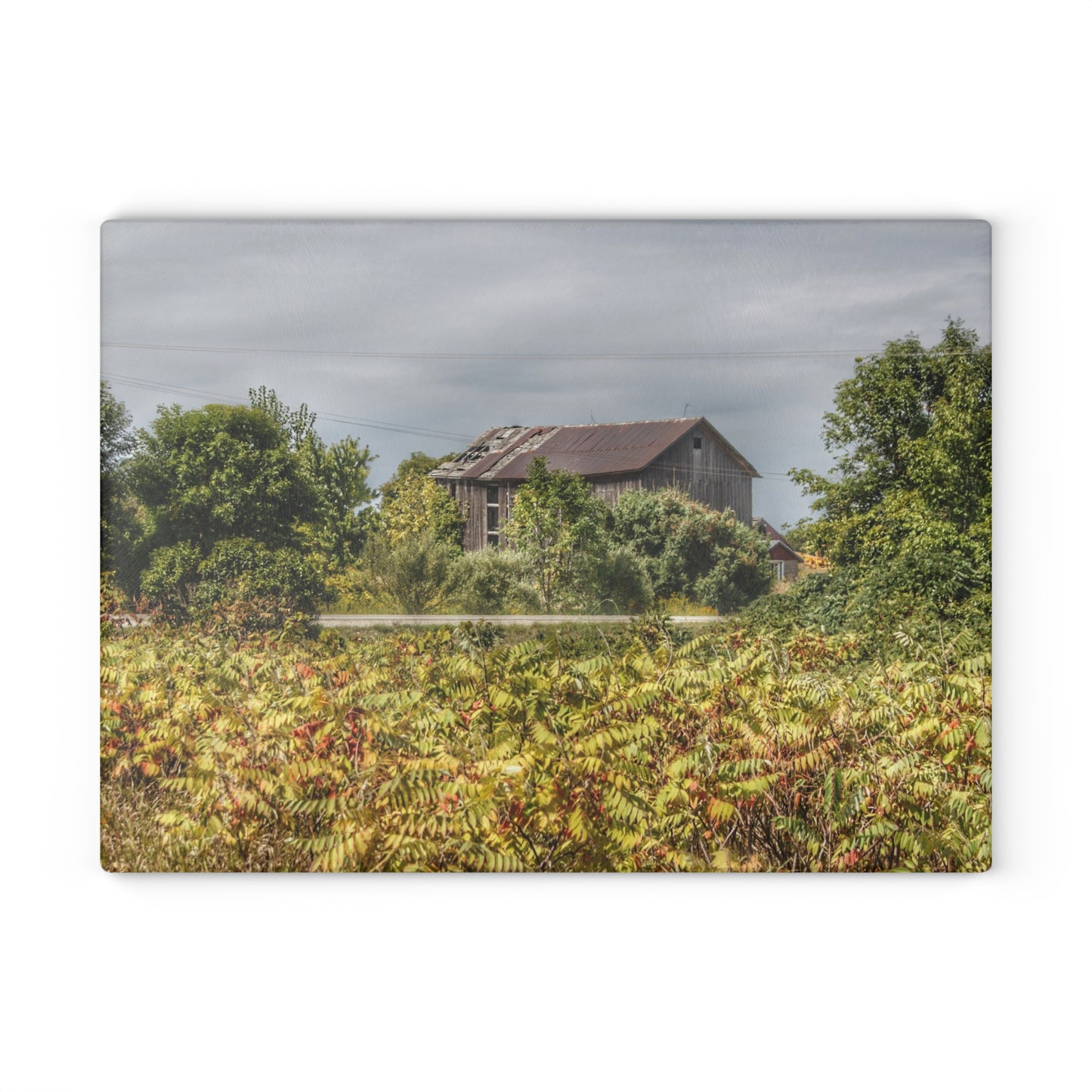 U R There Photography Van Dyke Grey Rustic Farmhouse Tempered-Glass Cutting Board