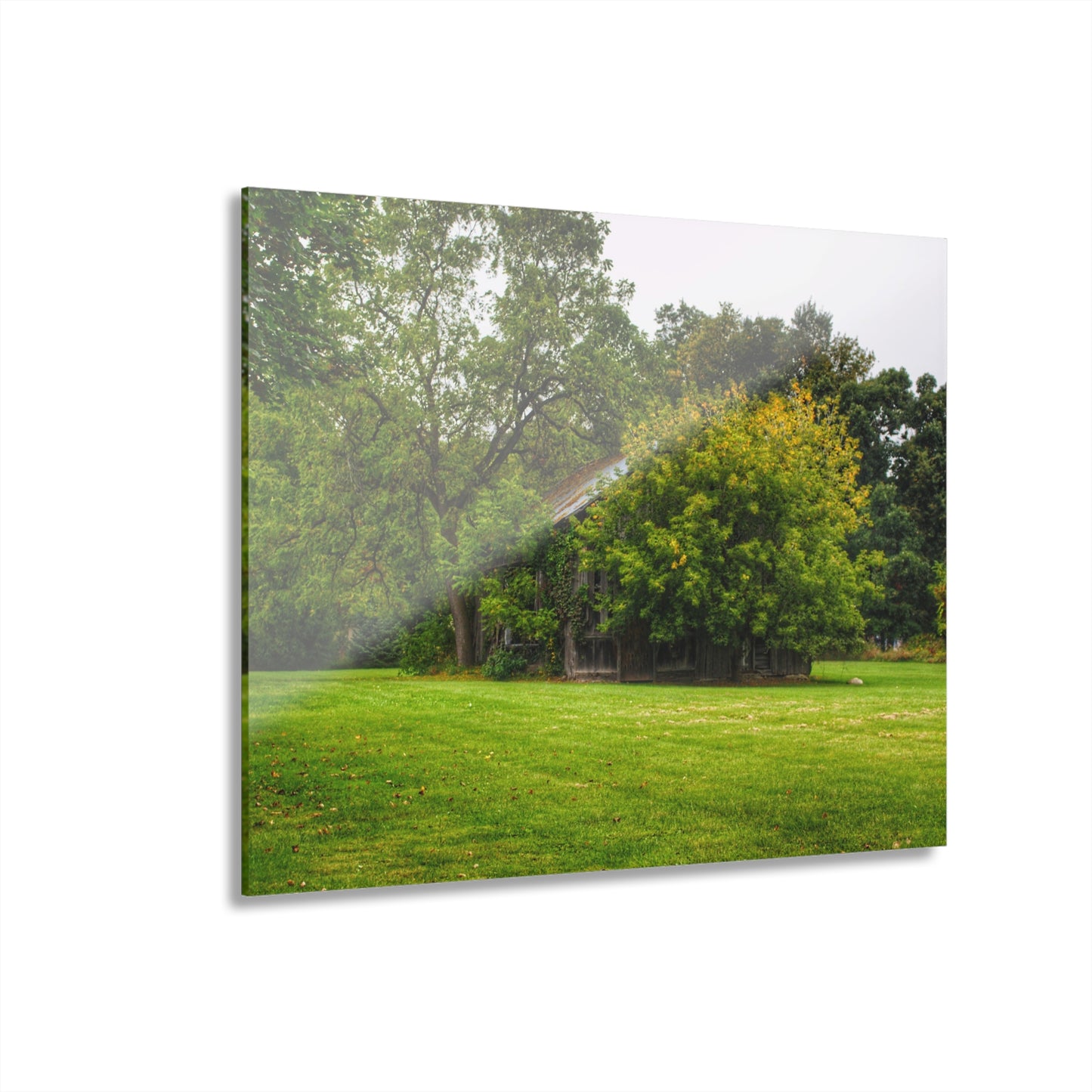 U R There Photography Hidden Past Rustic Farmhouse Acrylic Wall Print