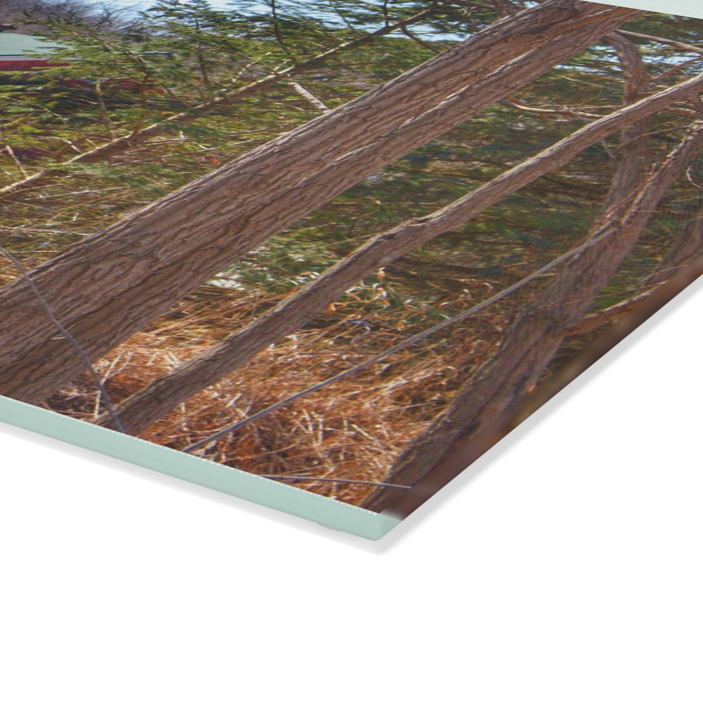 U R There Photography Bordman Road Hidden Red Rustic Farmhouse Tempered-Glass Cutting Board