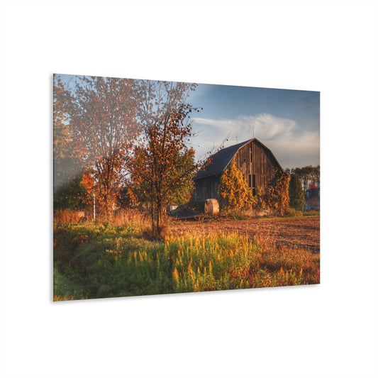 U R There Photography Lake Pleasant Road Grey Rustic Farmhouse Acrylic Wall Print