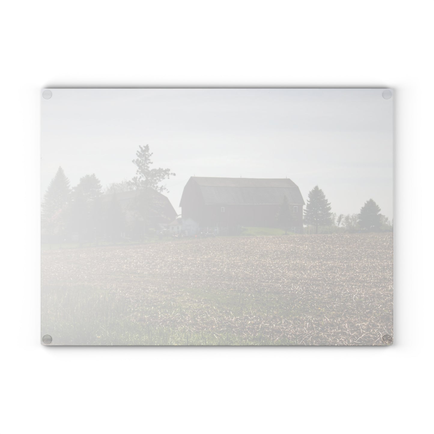 U R There Photography Bishop Road Reds IV Rustic Farmhouse Tempered-Glass Cutting Board