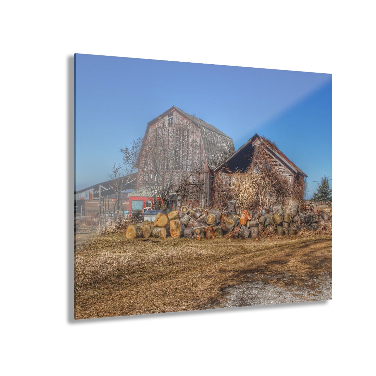 U R There Photography Dutcher Road Grey Rustic Farmhouse Acrylic Wall Print