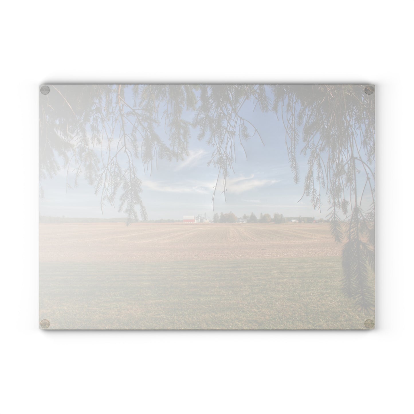 U R There Photography Cass City Farm Rustic Farmhouse Tempered-Glass Cutting Board