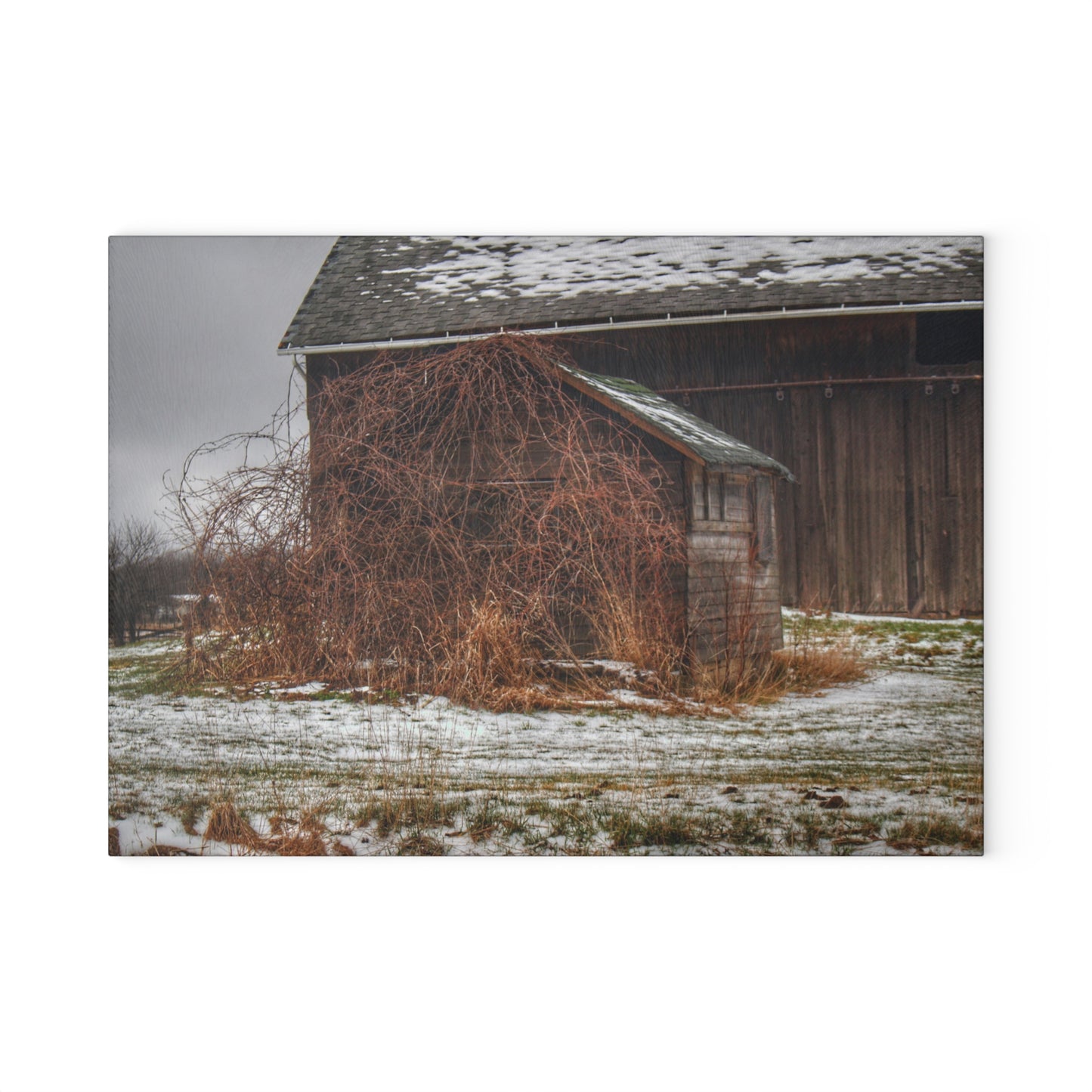 U R There Photography Wilder Road Little Winter Grey Rustic Farmhouse Tempered-Glass Cutting Board