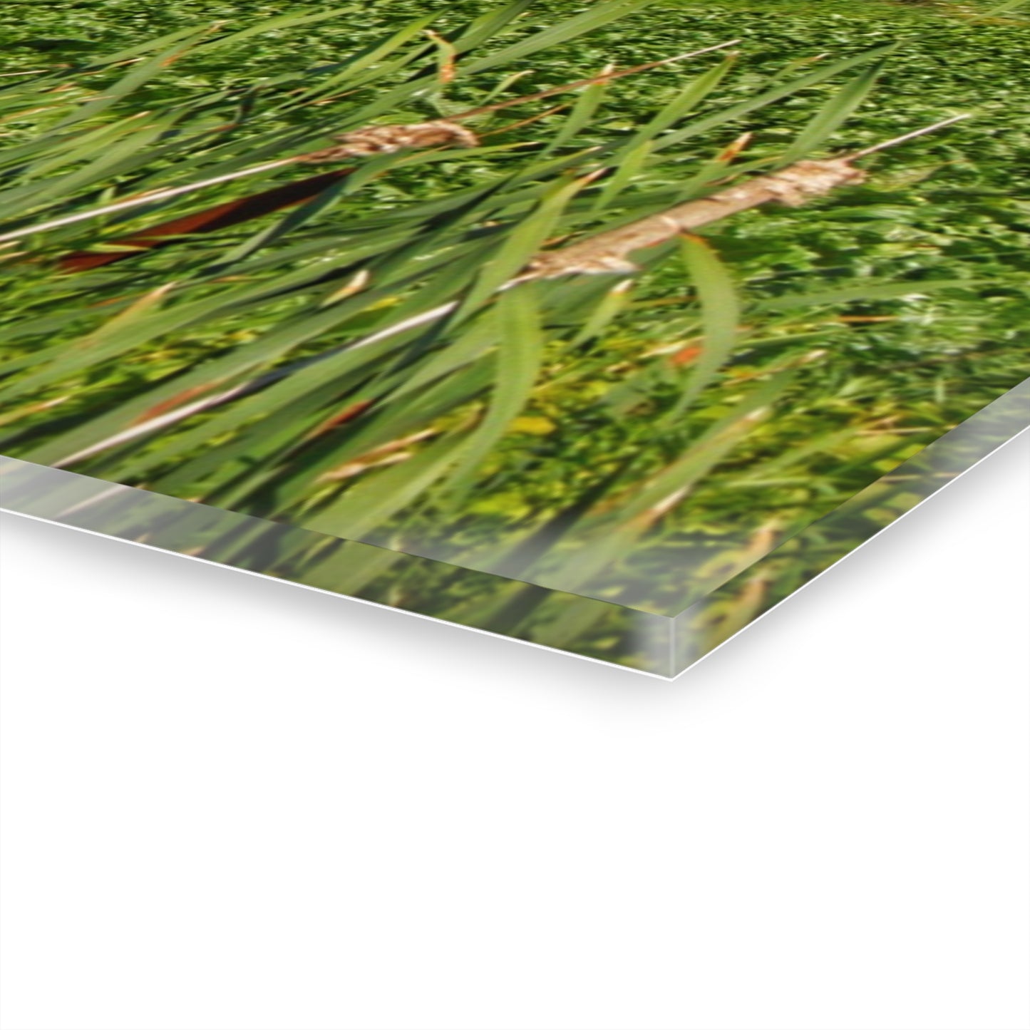 U R There Photography Montrose Farm II Rustic Farmhouse Acrylic Wall Print