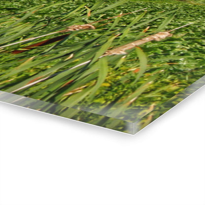 U R There Photography Montrose Farm II Rustic Farmhouse Acrylic Wall Print