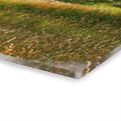 U R There Photography Lum Hidden Fieldstone Red Rustic Farmhouse Acrylic Wall Print