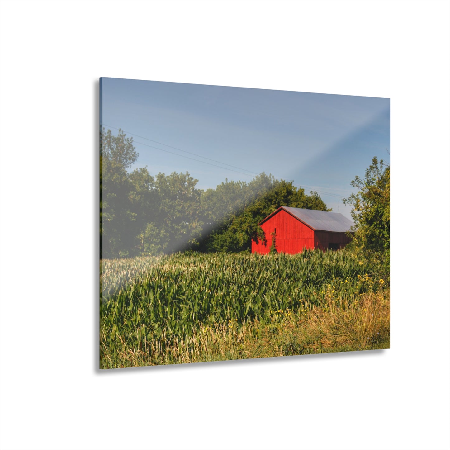U R There Photography Willard Road Red II Rustic Farmhouse Acrylic Wall Print