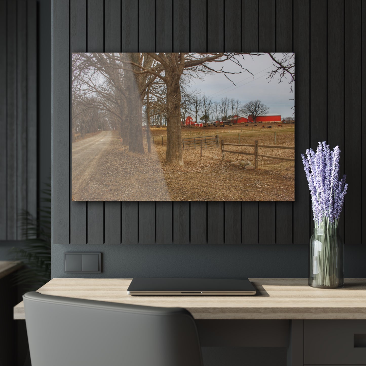 U R There Photography Wilder Road Cow Farm Rustic Farmhouse Acrylic Wall Print