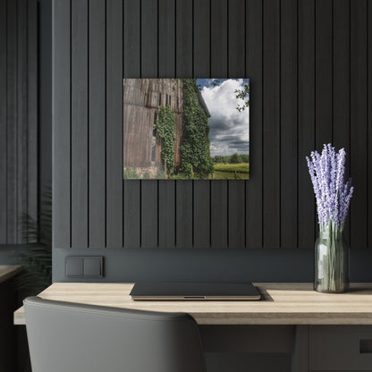 U R There Photography North Branch Ivy Grey II Rustic Farmhouse Acrylic Wall Print