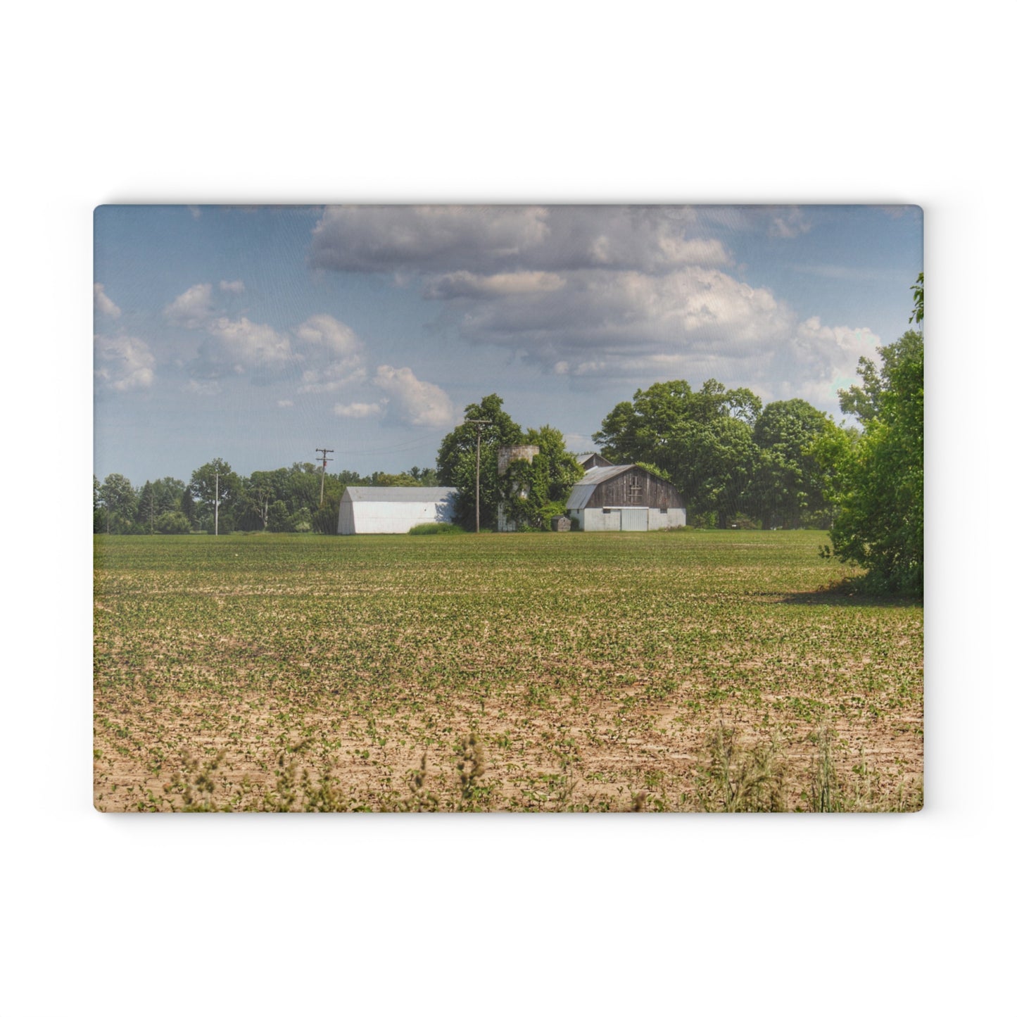 U R There Photography Willard Road White Rustic Farmhouse Tempered-Glass Cutting Board