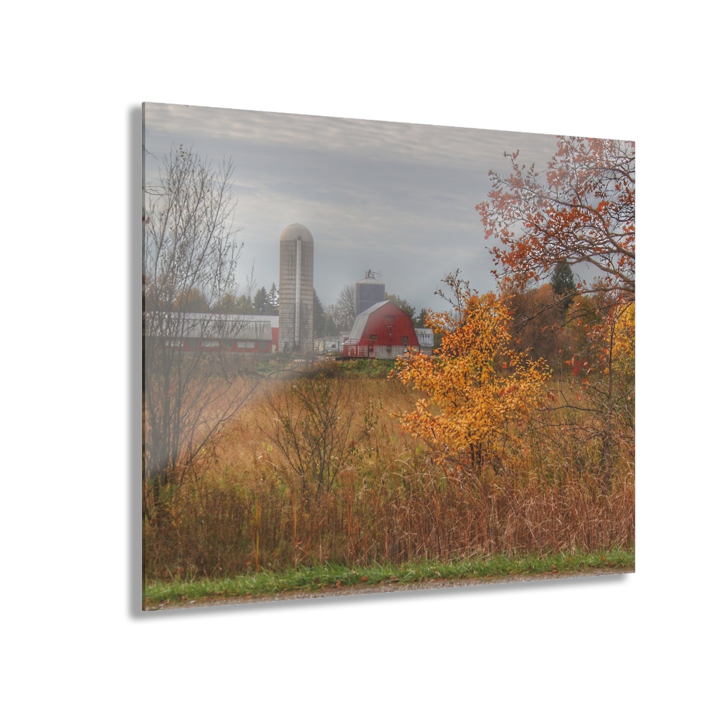 U R There Photography Vienna Road Red and Silo Rustic Farmhouse Acrylic Wall Print